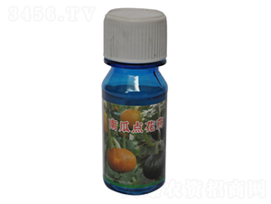 南瓜點花藥-農(nóng)伯樂