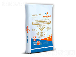 根莖壯13-4-40+CaO+TE-農(nóng)易豐