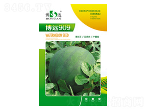 h909-r(nng)NI(y)
