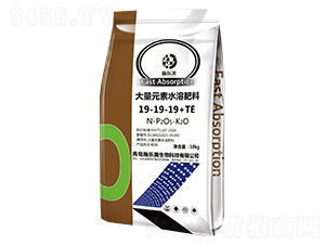 大量元素水溶肥料19-19-19+TE-施樂(lè)美