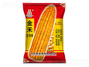 金禾199-春淼種業(yè)