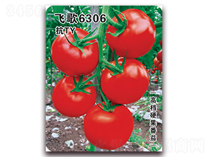 飛歌6306-番茄種子-飛歌農業(yè)