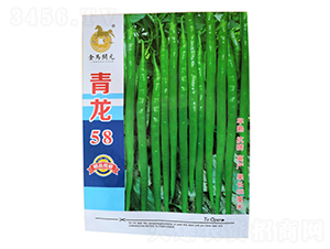 青龍58-線(xiàn)椒種子-金馬開(kāi)元