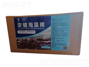 濃縮海藻精-秋碩農(nóng)業(yè)