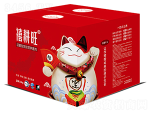 活菌型生防營養(yǎng)菌劑-禧耕旺-中農(nóng)華邦