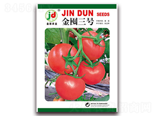 金囤三號(hào)-番茄種子-金囤農(nóng)業(yè)