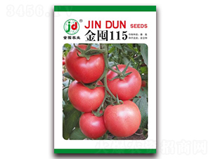 金囤115-番茄種子-金囤農(nóng)業(yè)