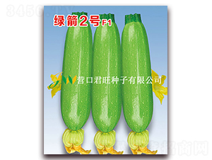 綠箭2號(hào)-西葫蘆種子-營(yíng)口君旺