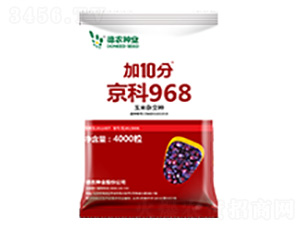 加10分京科968-德農(nóng)種業(yè)