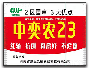 中奕農(nóng)23-玉米種子-九福種業(yè)