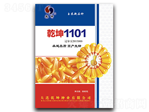 乾坤1101-玉米種子-乾坤種業(yè)