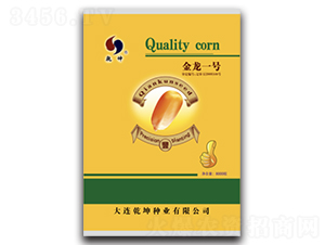 金龍一號(hào)-玉米種子-乾坤種業(yè)