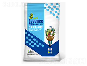 平衡型大量元素水溶肥料19-19-19+TE-精華王子-中黃特肥