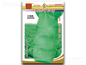金科興十三號-萵筍種子-科興種業(yè)