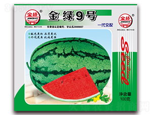 金綠9號-西瓜種子-金橋種業(yè)