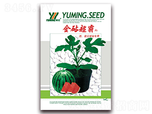 金砧超霸-西瓜種子-三優(yōu)高科