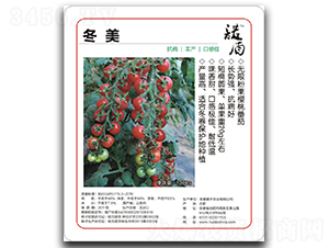 冬美無限粉果櫻桃番茄-番茄種子-徽大農(nóng)業(yè)