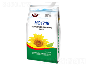 HC306-向日葵種子-弘昌農(nóng)業(yè)