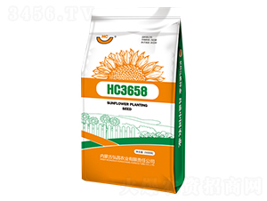 HC3658-向日葵種子-弘昌農(nóng)業(yè)