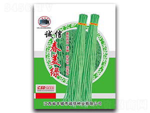 誠(chéng)信春美綠-豇豆種子-誠(chéng)信種業(yè)