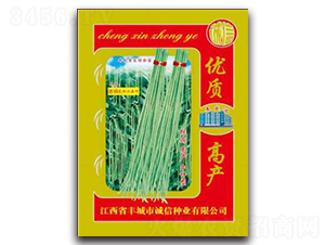 進(jìn)口無種小五葉-豇豆種子-誠信種業(yè)