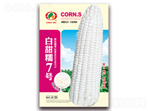 Ŵ7̖-Ŵ׷N-NI(y)