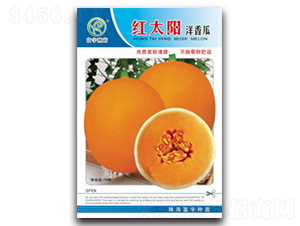 紅太陽洋香瓜-甜瓜種子-富宇種苗