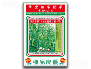 改良港種11號軟莢荷豆種(604特選種)-荷蘭豆種子-吉豐種業(yè)