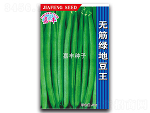 無筋綠地豆王-地豆種子-嘉豐種子