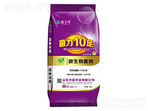微生物菌劑-鑫豐丹-中藍(lán)農(nóng)業(yè)