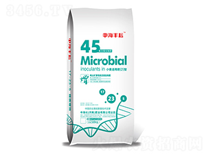 小麥適用肥料2型-中海豐耘-中海化肥業(yè)
