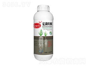 復合微生物菌劑-億菌歸根-金必來生物