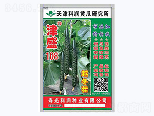 津盛108-黃瓜種子-科潤種業(yè)