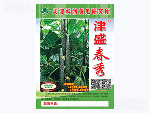 津盛春秀-黃瓜種子-科潤(rùn)種業(yè)