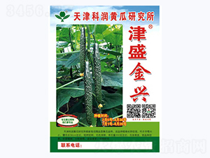 津盛金興-黃瓜種子-科潤種業(yè)
