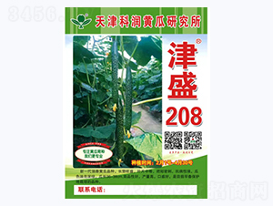 津盛208-黃瓜種子-科潤(rùn)種業(yè)
