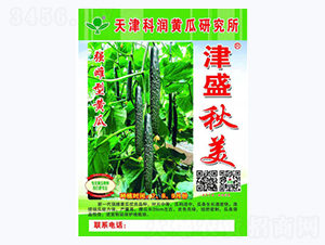 津盛秋美-黃瓜種子-科潤(rùn)種業(yè)