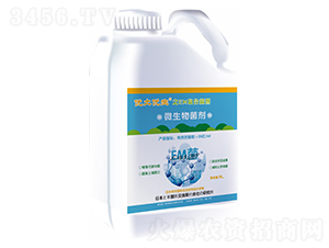 EM復(fù)合菌劑-優(yōu)土優(yōu)生-博興天竹