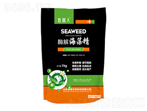 酶解海藻精-益泰生物
