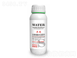 含腐植酸水溶肥料-豐碩-隆科農(nóng)業(yè)