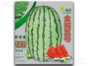 ̖(ho)-ϷN-