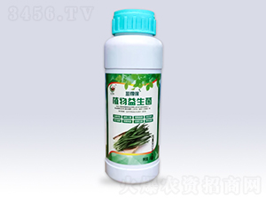 韭菜專用植物益生菌-文隆夢(mèng)陽(yáng)