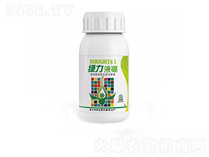 250GGҺ-ط
