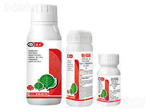 20%xȷҸ-{(ln)-¹چ̵ 