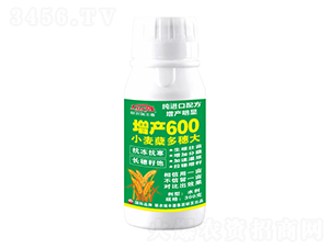 300gСYa(chn)600-r(nng)