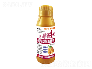 500g}PMڇ4̖-r(nng)