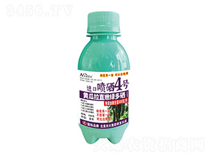 100Sֱ۾GMڇ4̖-r(nng)