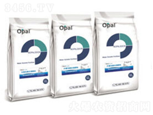OPALaˮܷ-W㘷