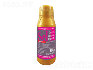500܇?yn)әD(zhun)ɫ1̖-r(nng)