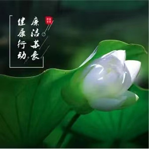 健康產(chǎn)業(yè)抱枕2_副本.jpg